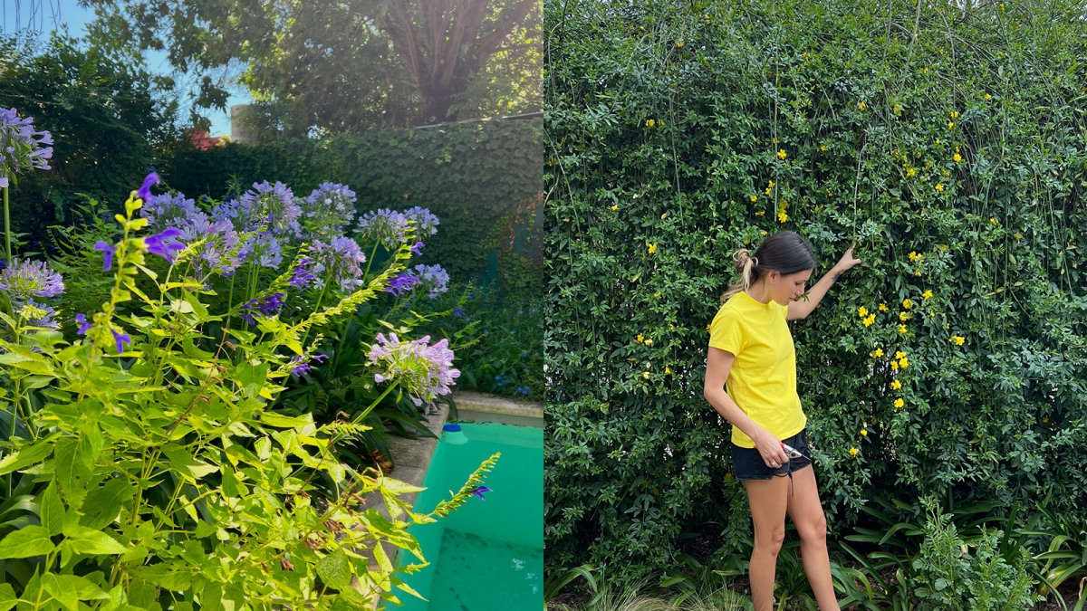Flowers