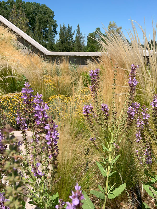 Jardín Sostenible 