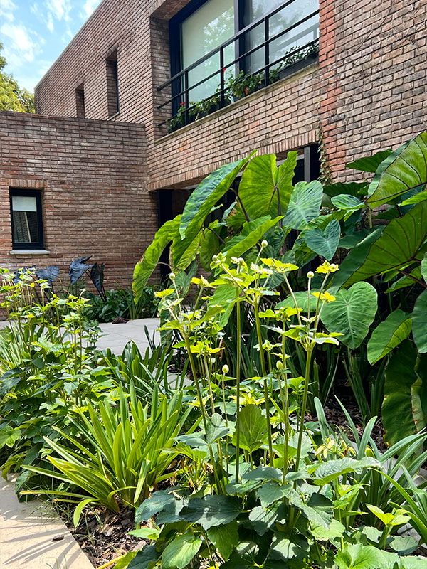 Jardín en Etapas 